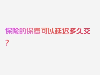 保险的保费可以延迟多久交？