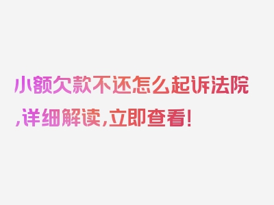 小额欠款不还怎么起诉法院，详细解读，立即查看！