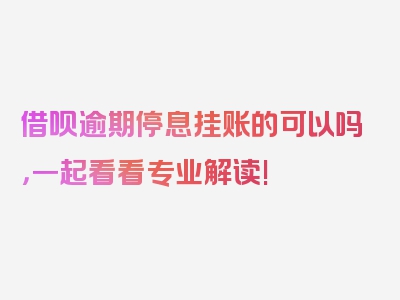 借呗逾期停息挂账的可以吗，一起看看专业解读!