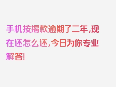 手机按揭款逾期了二年,现在还怎么还，今日为你专业解答!