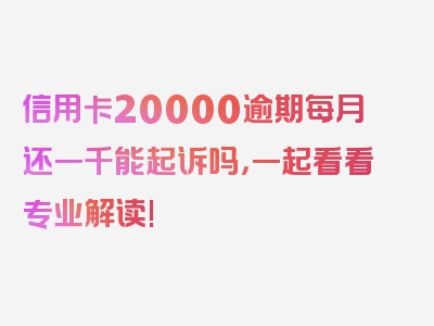 信用卡20000逾期每月还一千能起诉吗，一起看看专业解读!