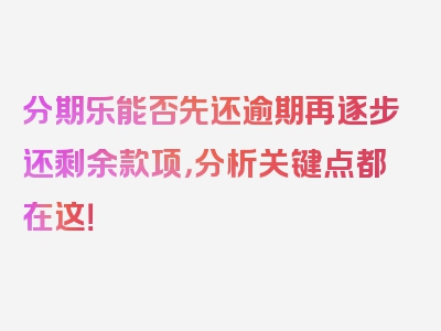 分期乐能否先还逾期再逐步还剩余款项，分析关键点都在这！