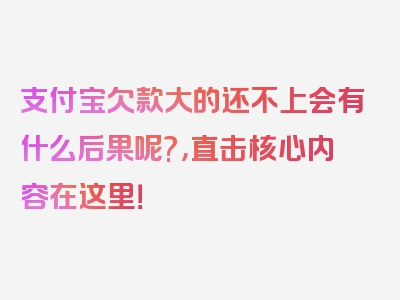 支付宝欠款大的还不上会有什么后果呢?，直击核心内容在这里！