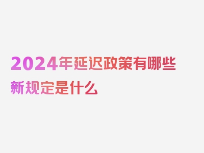 2024年延迟政策有哪些新规定是什么