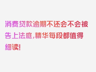 消费贷款逾期不还会不会被告上法庭，精华每段都值得细读！