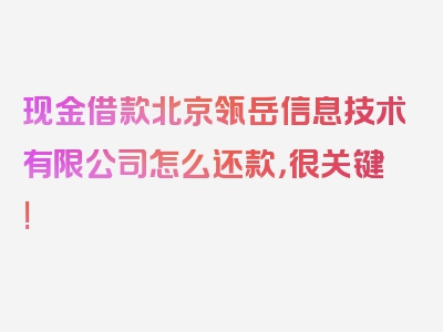 现金借款北京瓴岳信息技术有限公司怎么还款，很关键!