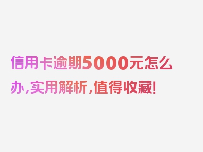 信用卡逾期5000元怎么办，实用解析，值得收藏！