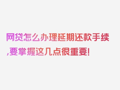 网贷怎么办理延期还款手续，要掌握这几点很重要！