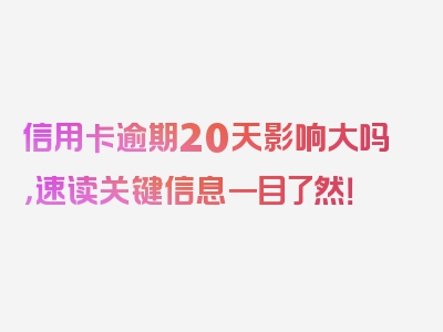 信用卡逾期20天影响大吗，速读关键信息一目了然！