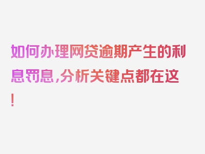 如何办理网贷逾期产生的利息罚息，分析关键点都在这！