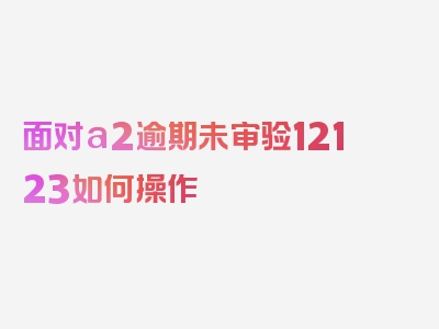 面对a2逾期未审验12123如何操作