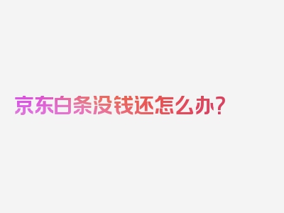 京东白条没钱还怎么办？