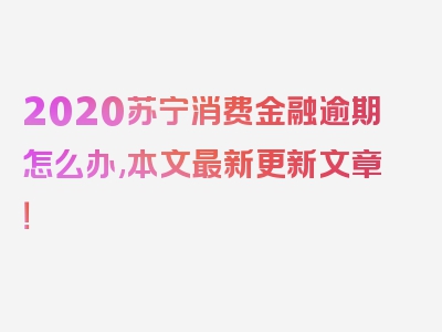 2020苏宁消费金融逾期怎么办,本文最新更新文章！