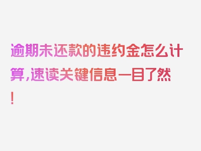 逾期未还款的违约金怎么计算，速读关键信息一目了然！