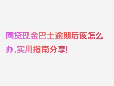 网贷现金巴士逾期后该怎么办，实用指南分享！