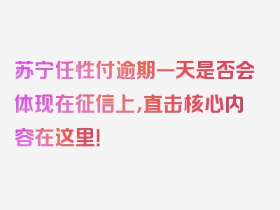 苏宁任性付逾期一天是否会体现在征信上，直击核心内容在这里！