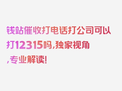 钱站催收打电话打公司可以打12315吗，独家视角，专业解读！