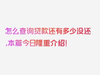 怎么查询贷款还有多少没还，本篇今日隆重介绍!