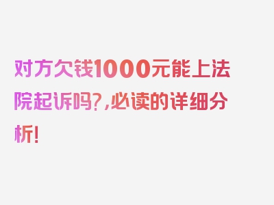 对方欠钱1000元能上法院起诉吗?，必读的详细分析！