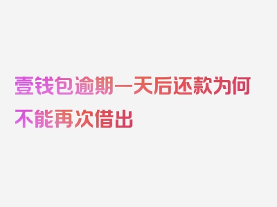 壹钱包逾期一天后还款为何不能再次借出