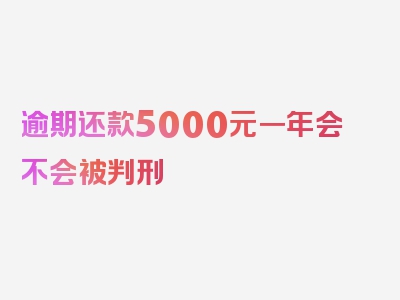 逾期还款5000元一年会不会被判刑