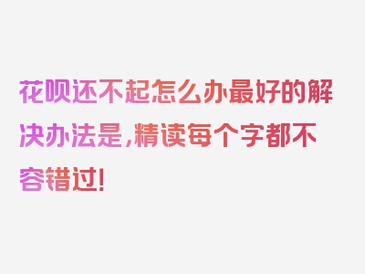 花呗还不起怎么办最好的解决办法是，精读每个字都不容错过！