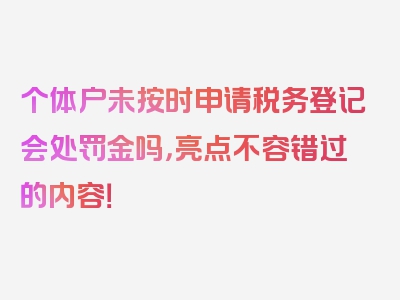 个体户未按时申请税务登记会处罚金吗，亮点不容错过的内容！