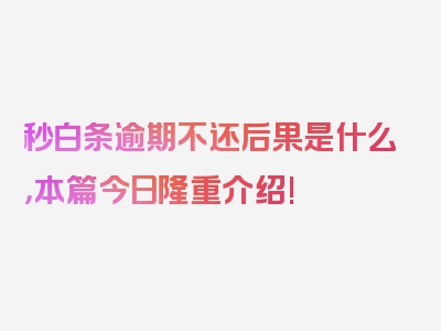 秒白条逾期不还后果是什么，本篇今日隆重介绍!