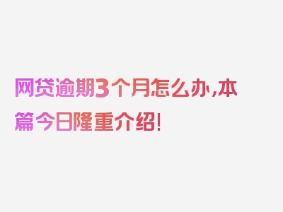 网贷逾期3个月怎么办，本篇今日隆重介绍!