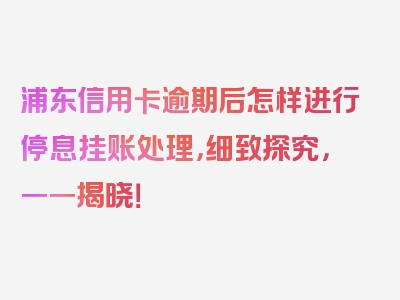 浦东信用卡逾期后怎样进行停息挂账处理，细致探究，一一揭晓！