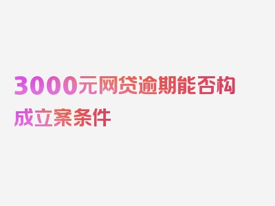 3000元网贷逾期能否构成立案条件