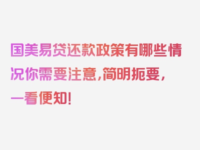 国美易贷还款政策有哪些情况你需要注意，简明扼要，一看便知！