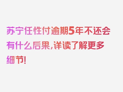 苏宁任性付逾期5年不还会有什么后果，详读了解更多细节！