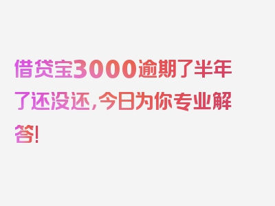 借贷宝3000逾期了半年了还没还，今日为你专业解答!