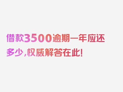 借款3500逾期一年应还多少，权威解答在此！