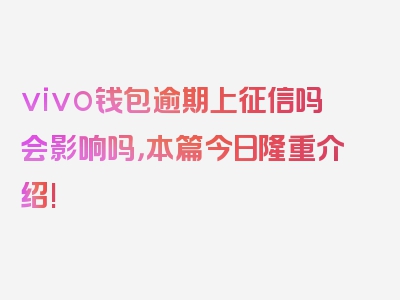 vivo钱包逾期上征信吗会影响吗，本篇今日隆重介绍!