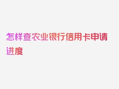 怎样查农业银行信用卡申请进度