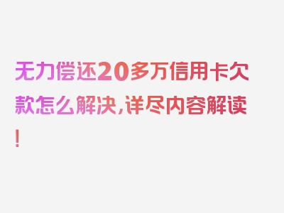 无力偿还20多万信用卡欠款怎么解决，详尽内容解读！