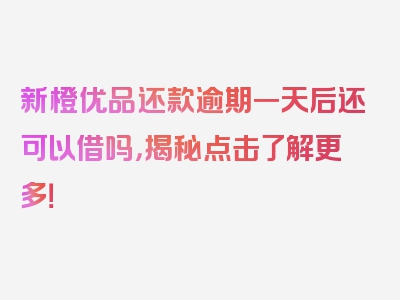 新橙优品还款逾期一天后还可以借吗，揭秘点击了解更多！