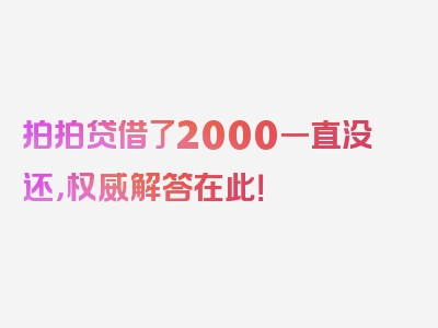 拍拍贷借了2000一直没还，权威解答在此！