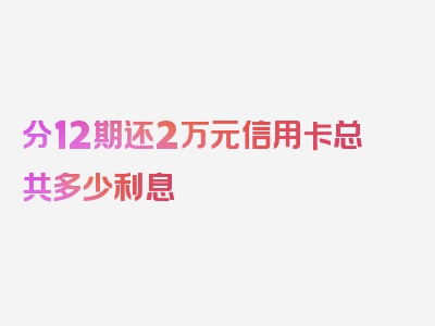 分12期还2万元信用卡总共多少利息