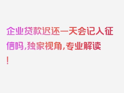 企业贷款迟还一天会记入征信吗，独家视角，专业解读！