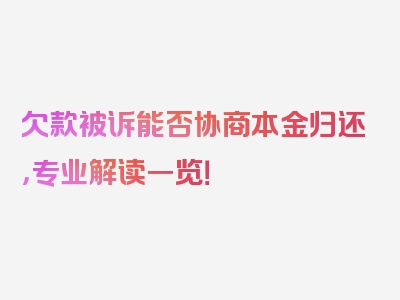 欠款被诉能否协商本金归还，专业解读一览！