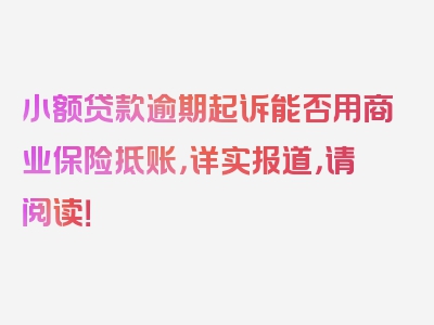 小额贷款逾期起诉能否用商业保险抵账，详实报道，请阅读！