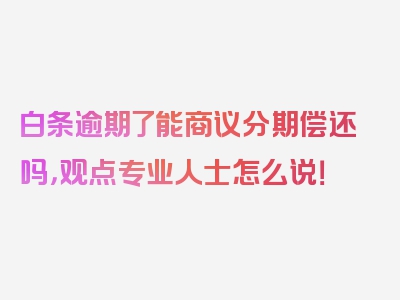 白条逾期了能商议分期偿还吗，观点专业人士怎么说！