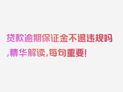 贷款逾期保证金不退违规吗，精华解读，每句重要！