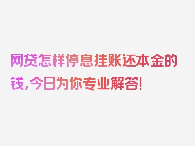 网贷怎样停息挂账还本金的钱，今日为你专业解答!