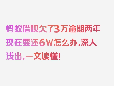 蚂蚁借呗欠了3万逾期两年现在要还6W怎么办，深入浅出，一文读懂！