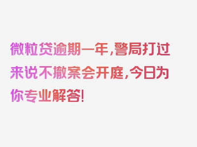 微粒贷逾期一年,警局打过来说不撤案会开庭，今日为你专业解答!