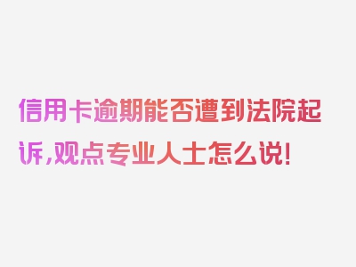 信用卡逾期能否遭到法院起诉，观点专业人士怎么说！